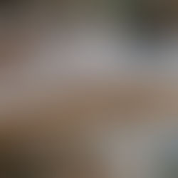 Über die Verletzlichkeit