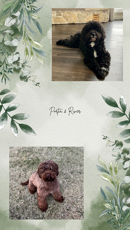 Green Minimalist Floral Watercolor Phone Wallpaper-4.png