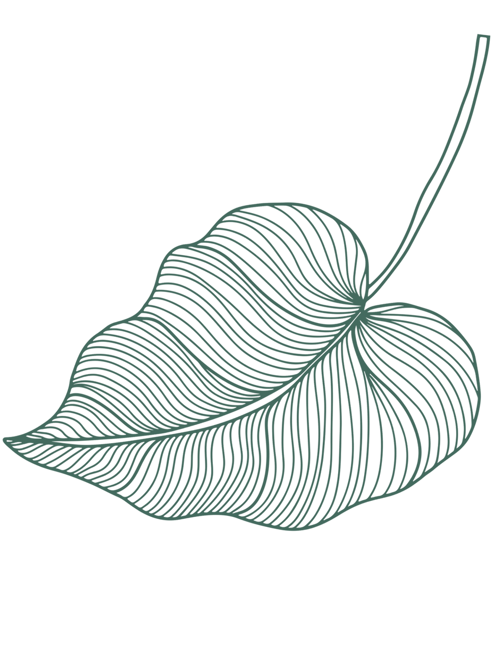 Tropical Leaf