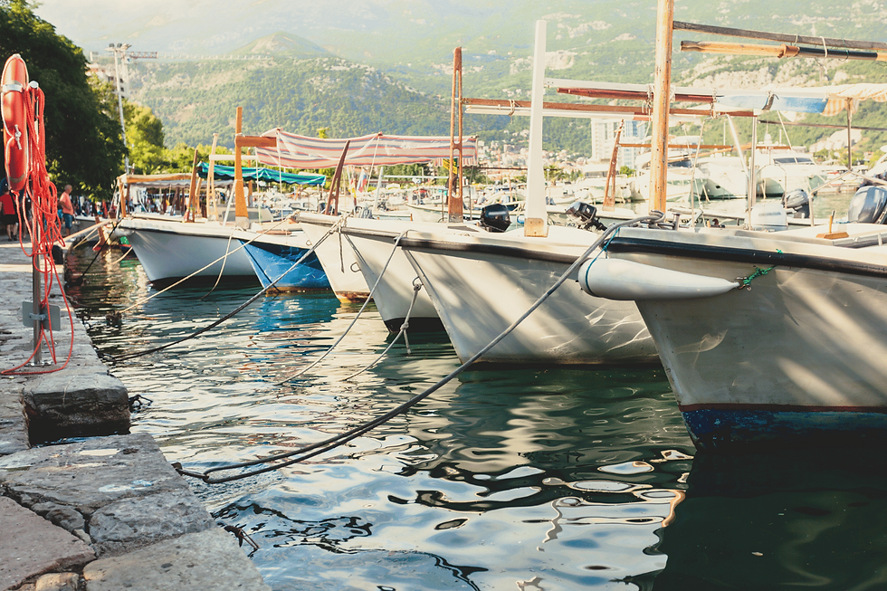 Several boats tied to the dock.