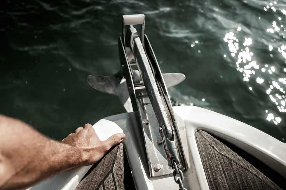Bird's eye view of a claw anchor