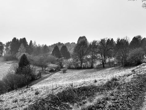 Recensione a Primamà, di Laura Pariani