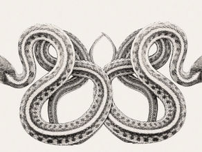 The Season of Shedding: Choosing Alignment at the End of the Astrological Year