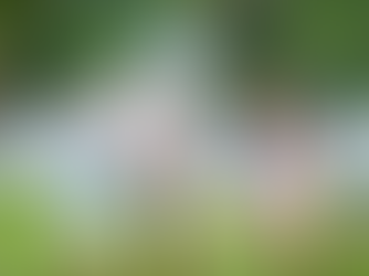 Keep Kids Healthy Austin: Winter Break Concierge Tips