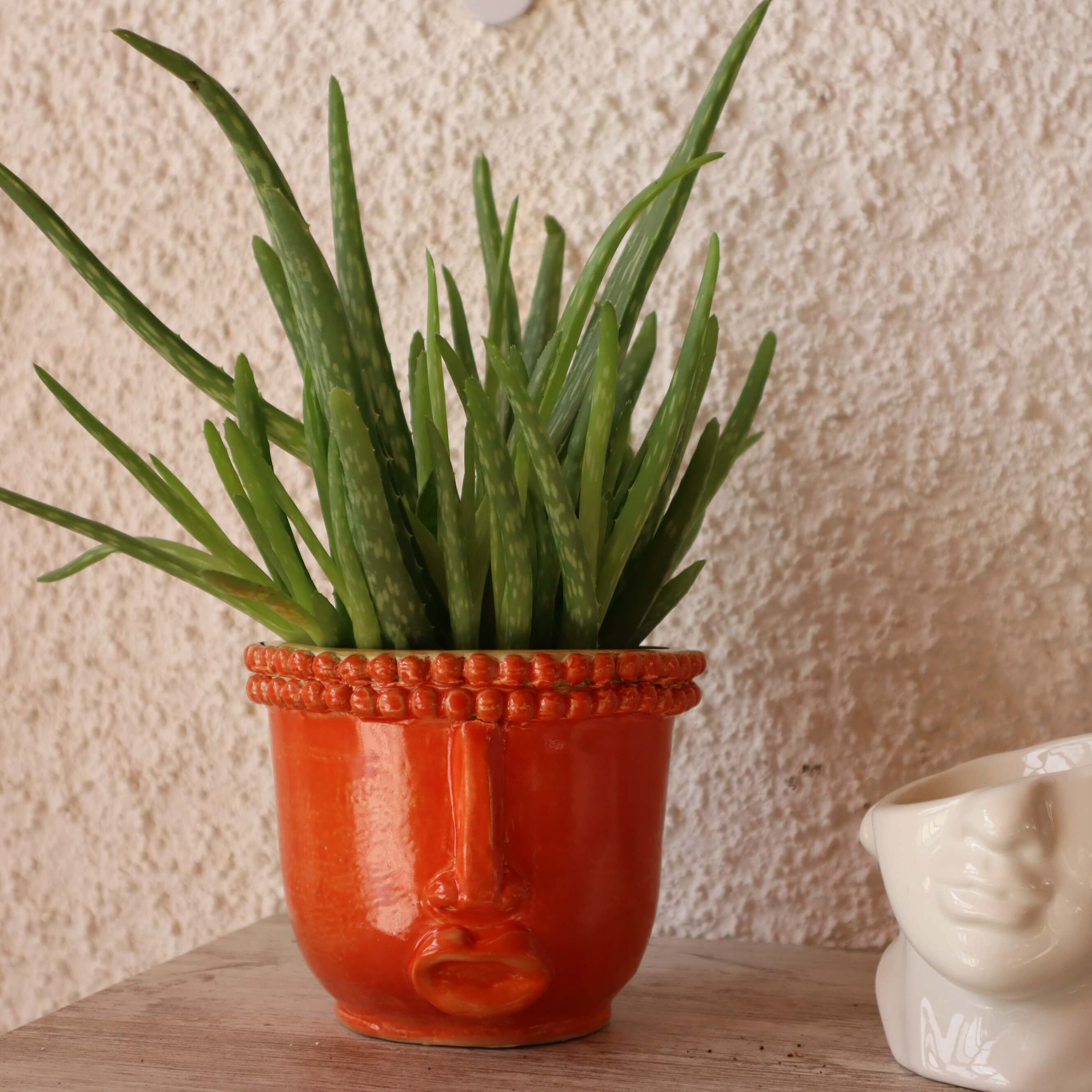 Maceta Cerámica Azafrán