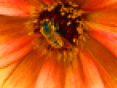 orangemosiac