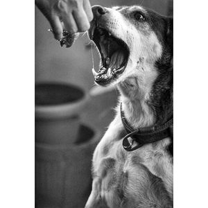 when mom feeds