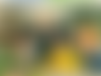 Erasmus+ Gençlik Değişimi Projesi