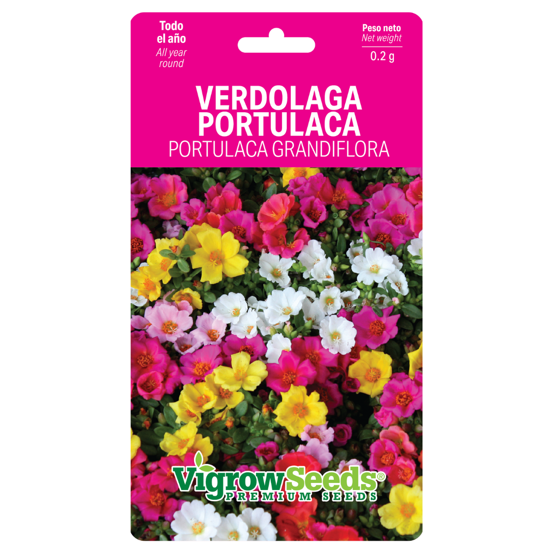 Vigrow Seeds Verdolaga Mixta
