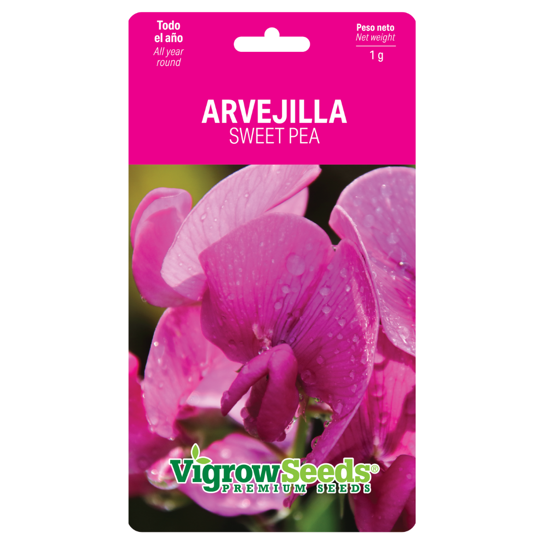 Vigrow Seeds Arvejilla