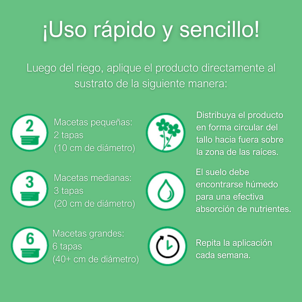 Miniatura: Happy Plant Suculentas y Cactus