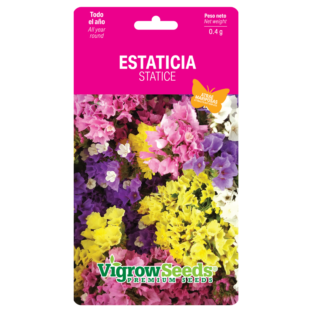 Vigrow Seeds Estaticia Mixta