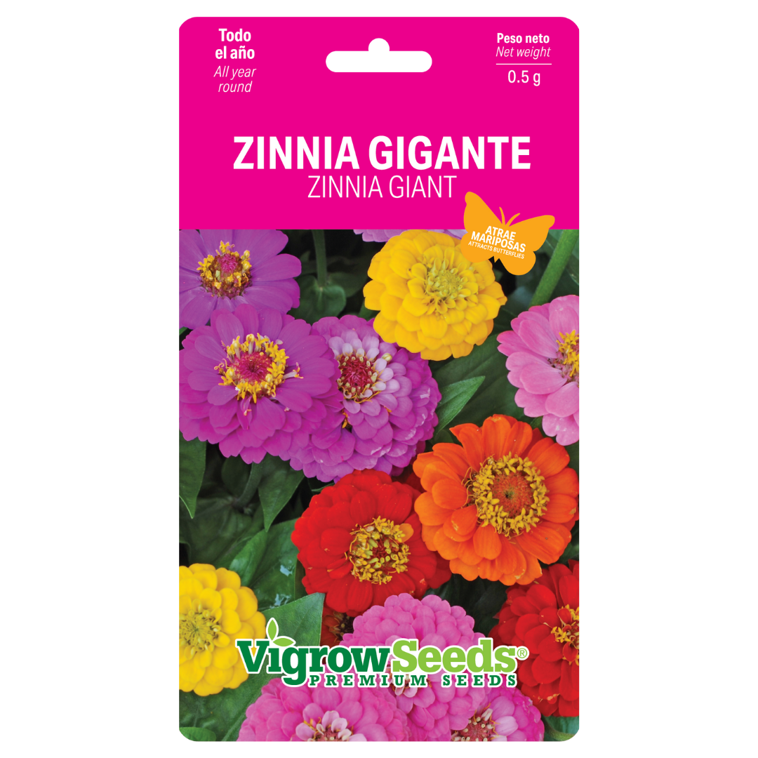 Vigrow Seeds Zinnia Gigante Mixto