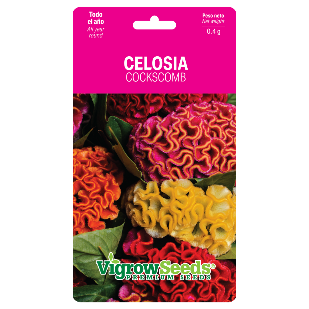 Vigrow Seeds Celosia
