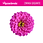 Miniatura: Vigrow Seeds Zinnia Gigante