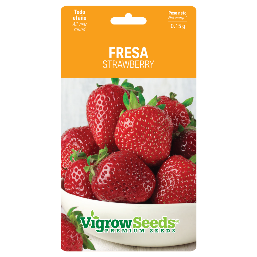 Vigrow Seeds Fresa