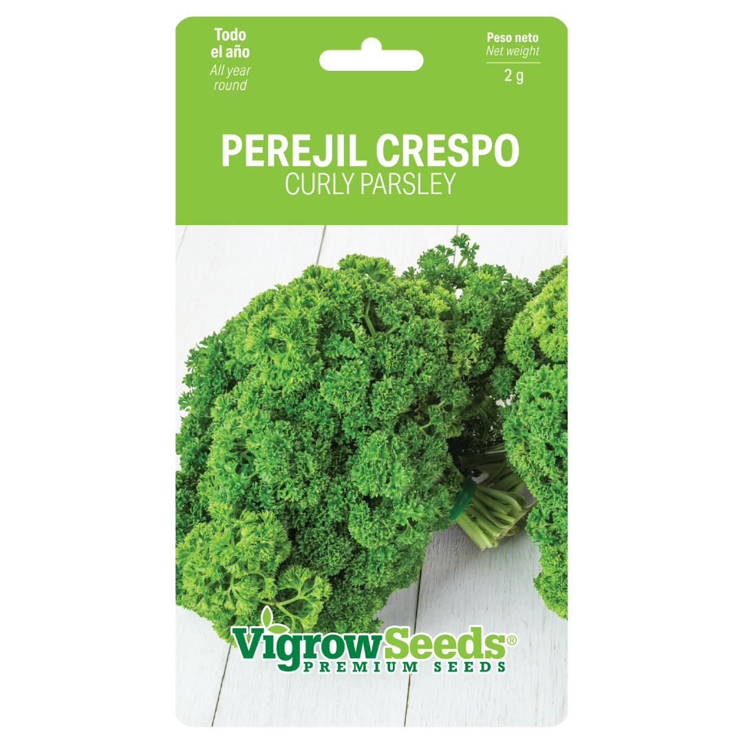 Vigrow Seeds Perejil Crespo