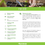 Miniatura: Vigrow Seeds Pak Choi