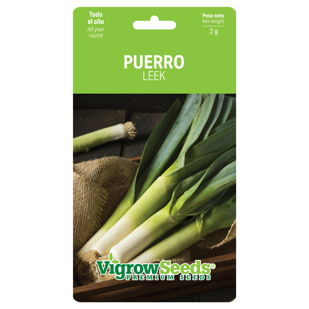 Vigrow Seeds Puerro