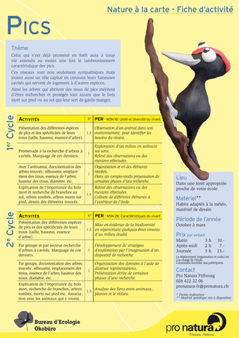 NAC_fiche_tech_1.png