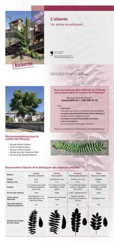 SFF_brochure_recto.png