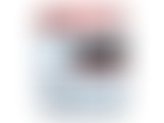 1.3Ah Eve F0509-LF Batteria per EVE F0509-LF ER14335M