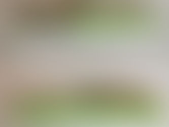 Batteria per Intermec CV41 VM1376