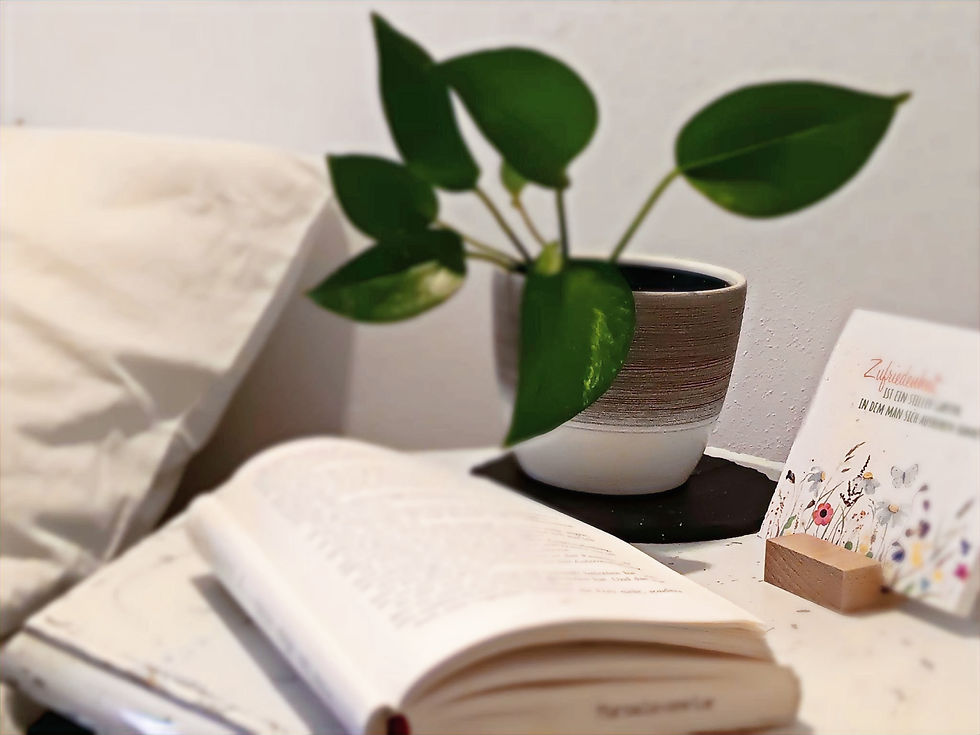 Hotel Ratsschänke Service zur Agritechnica Messe 2025