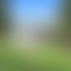 So you’re thinking about renovating?