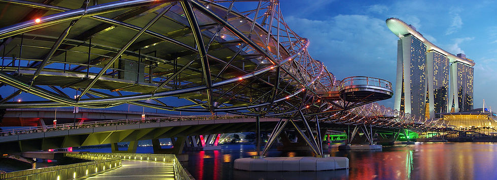 DNA Bridge Panorama