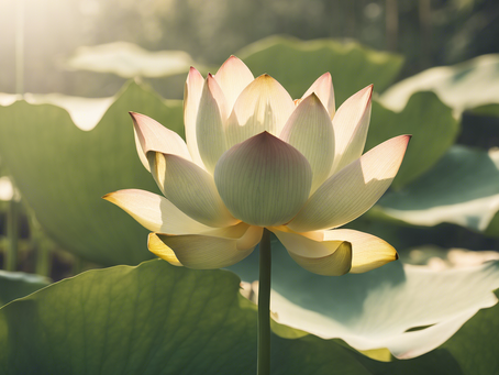 Transform Your Wellness Journey with Golden Grove Retreats