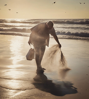 scattering ashes at the beach.jpg