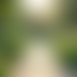 Effective Detox Strategies for a Healthier Lifestyle in Orange County