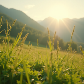 Exploring the Reality of Addiction Fatigue in Recovery