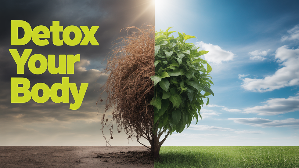 Half-withered, half-green bush divides stormy and sunny sky. Text: Detox Your Body. Represents transformation and renewal.