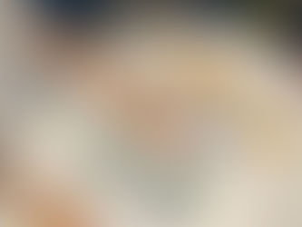 Oldfleet/Hull University Eco Games Workshop