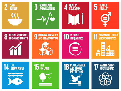 Embracing the SDGs