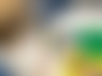 Oldfleet/Hull University Eco Games Workshop