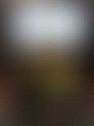 Priory Receive C3 Eco Excellence in Schools Award