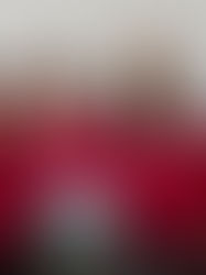 Stepney Primary have been presented with their C3 Eco Excellence in Schools Award plaque