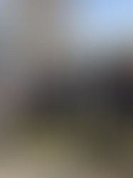 C3 award The Boulevard Academy with their Eco Excellence in Schools Award