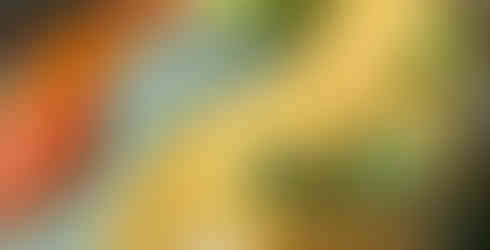 The views though. #LoveTaupō