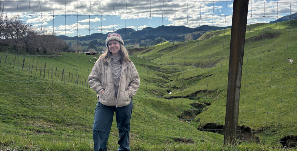 Picture time as we drove back to Mangakino