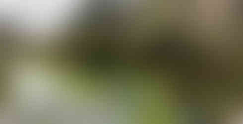 The beautiful Blue Springs