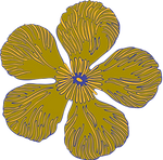 Blume