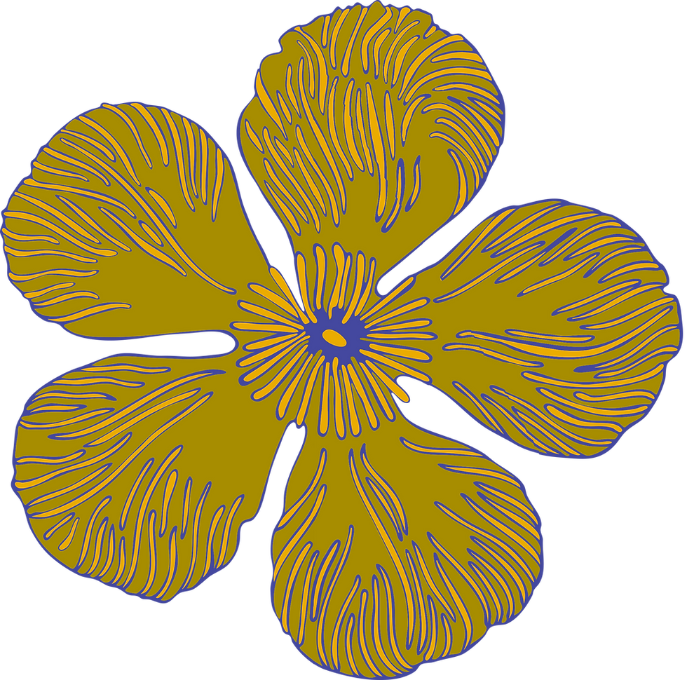 Sý het so tot verhaal gekom, jy kan ook!