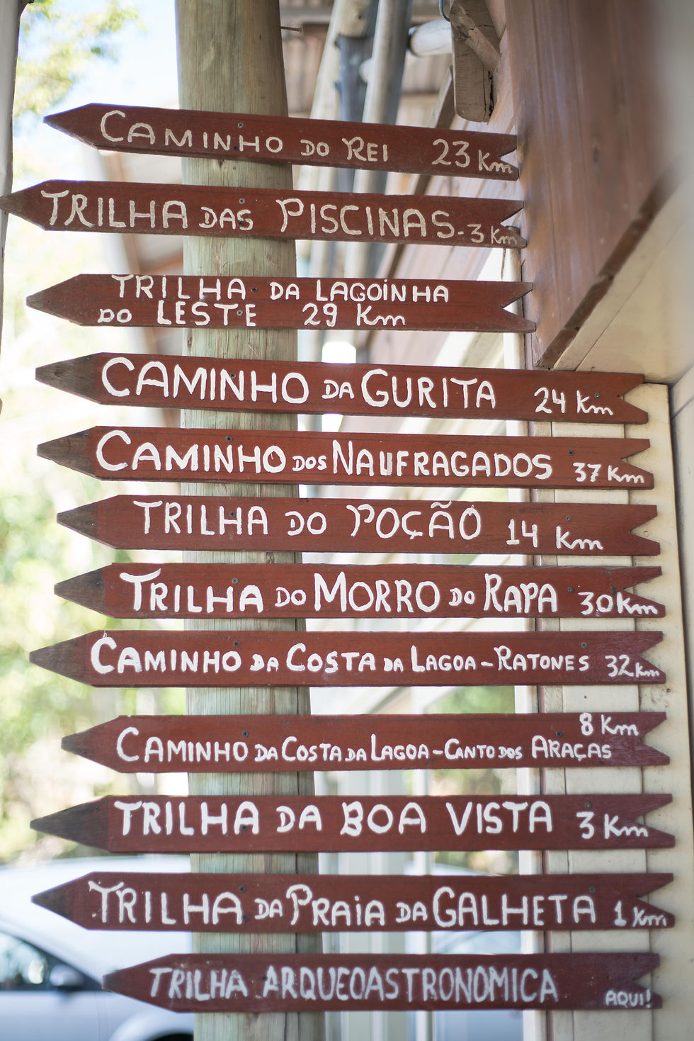 Trilhas Arqueológicas