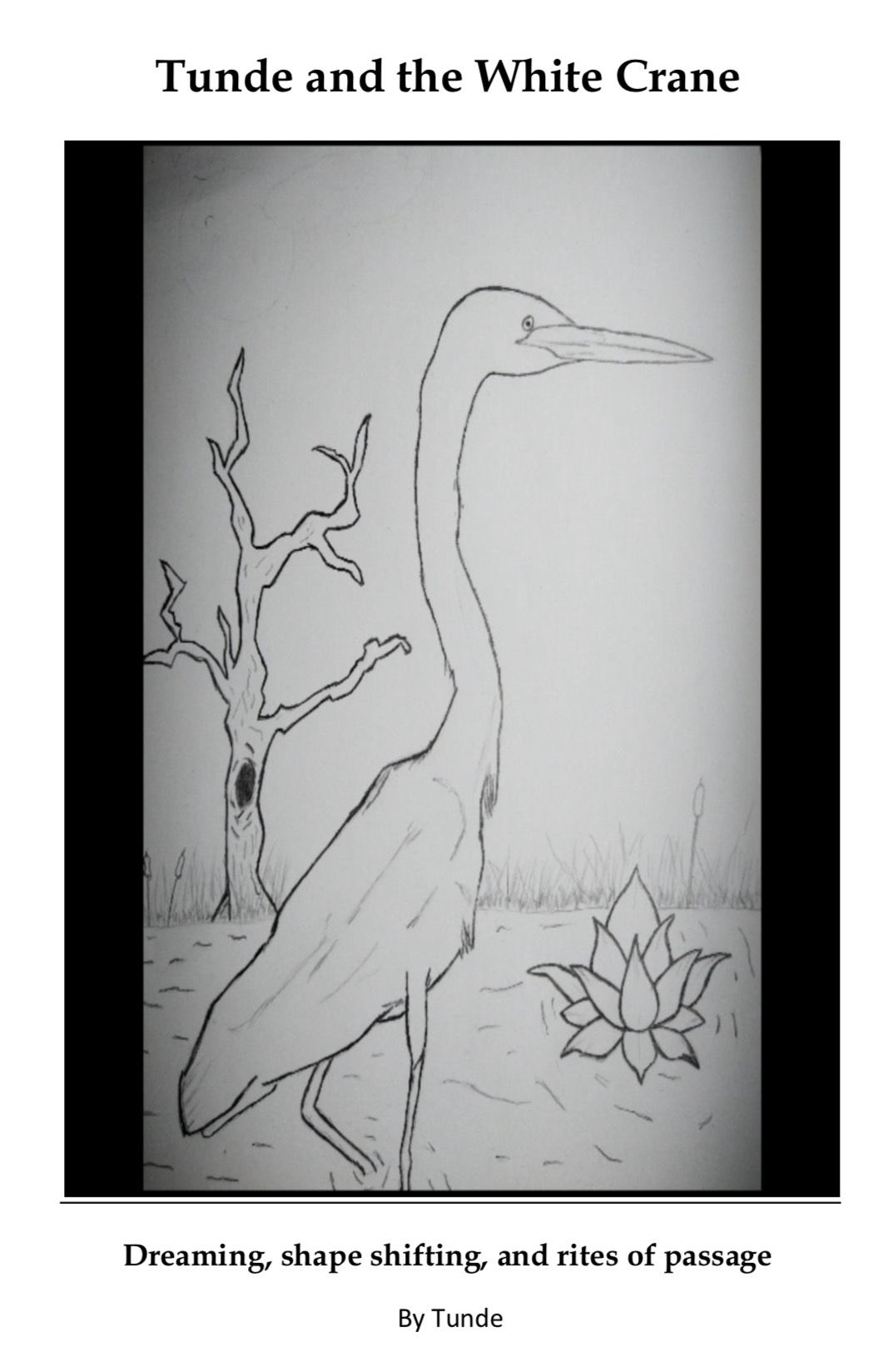 Tunde and the White Crane