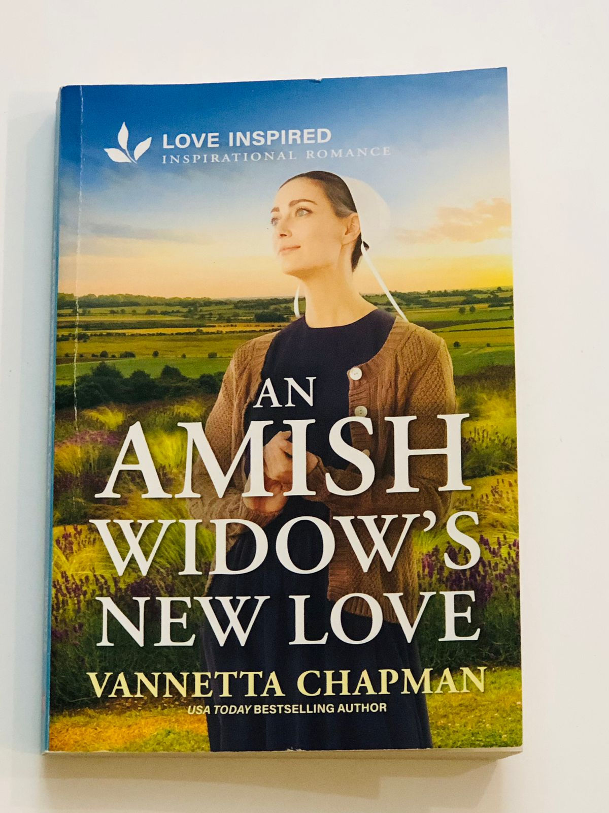 An amish widow's new love