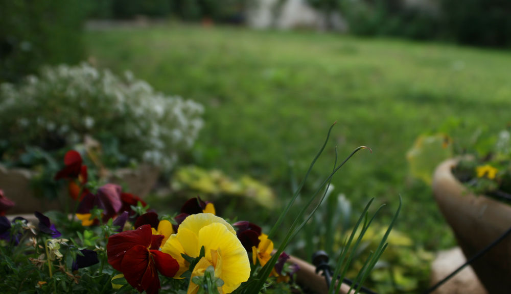 Garden Flower Pots